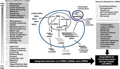 Integrated analysis of circulating cell free nucleic acids for cancer genotyping and immune phenotyping of tumor microenvironment